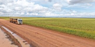 estradas-de-terra-ampliam-gargalos-logisticos-e-elevam-custos-para-produtores-em-mato-grosso