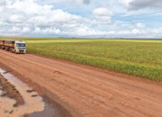 estradas-de-terra-ampliam-gargalos-logisticos-e-elevam-custos-para-produtores-em-mato-grosso