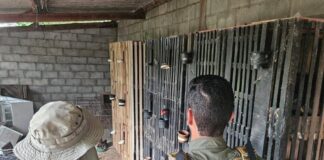 policia-civil-e-sema-fecham-rinha-de-galos-em-varzea-grande-e-prendem-suspeito
