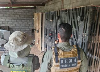 policia-civil-e-sema-fecham-rinha-de-galos-em-varzea-grande-e-prendem-suspeito