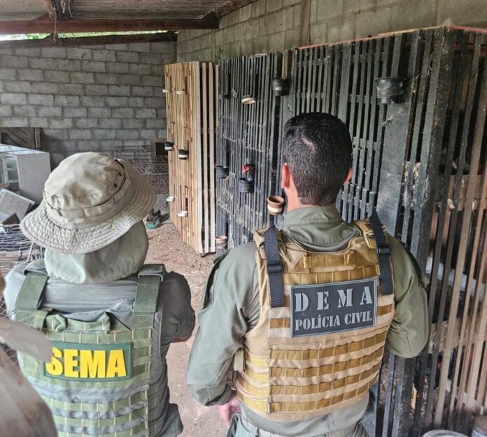 policia-civil-e-sema-fecham-rinha-de-galos-em-varzea-grande-e-prendem-suspeito
