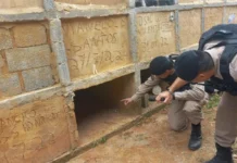 Mulher é retirada viva de túmulo após gritar por socorro mulher-e-retirada-viva-de-tumulo-apos-gritar-por-socorro