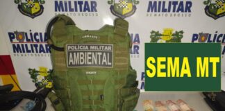 policia-ambiental-apreende-madeira-ilegal,-arma-e-droga-durante-operacao-em-claudia