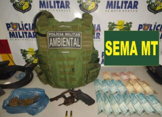 policia-ambiental-apreende-madeira-ilegal,-arma-e-droga-durante-operacao-em-claudia