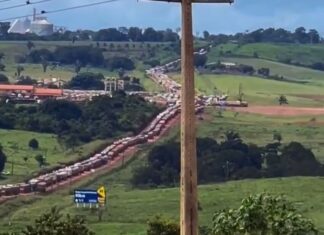 Carretas com soja enfrentam fila de 25 km a caminho do Porto de Miritituba carretas-com-soja-enfrentam-fila-de-25-km-a-caminho-do-porto-de-miritituba