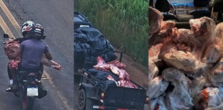 operacao-“guerra-de-carnes”-detem-11-suspeitos-por-saque-de-carga-apos-tombamento-na-mt-235
