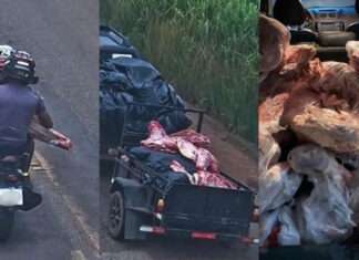 operacao-“guerra-de-carnes”-detem-11-suspeitos-por-saque-de-carga-apos-tombamento-na-mt-235