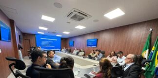 agencia-de-tocantins-busca-modelo-de-mato-grosso-para-organizar-setor-mineral