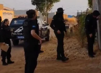 policia-civil-prende-dois-suspeitos-por-furto-de-r$-750-mil-em-soja