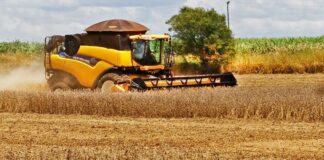chuvas-intensas-atrasam-colheita-e-perdas-na-safra-de-soja-chegam-a-25%-em-mato-grosso