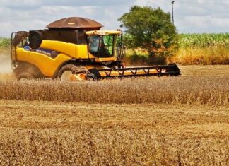 Chuvas intensas atrasam colheita e perdas na safra de soja chegam a 25% em Mato Grosso chuvas-intensas-atrasam-colheita-e-perdas-na-safra-de-soja-chegam-a-25%-em-mato-grosso