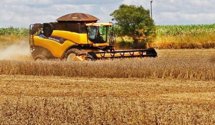 chuvas-intensas-atrasam-colheita-e-perdas-na-safra-de-soja-chegam-a-25%-em-mato-grosso
