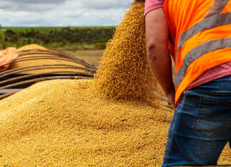 mato-grosso-e-o-segundo-estado-que-mais-gerou-empregos-no-brasil,-com-18,7-mil-novas-vagas