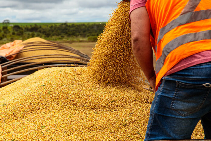 mato-grosso-e-o-segundo-estado-que-mais-gerou-empregos-no-brasil,-com-18,7-mil-novas-vagas