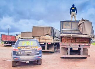 prf-apreende-cerca-de-47-m³-de-madeira-nativa-transportada-ilegalmente-em-guaranta-do-norte