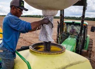 agropecuaria-gera-mais-de-10-mil-empregos-em-mt-e-destaca-estado-no-cenario-nacional