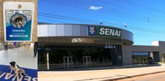 retirada-da-cadela-senaira-do-senai-de-sorriso-gera-revolta-entre-alunos-e-protetores-de-animais