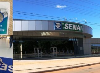 retirada-da-cadela-senaira-do-senai-de-sorriso-gera-revolta-entre-alunos-e-protetores-de-animais