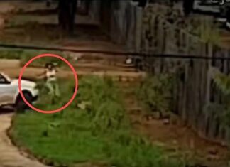 Juiz mantém prisão de jovem que perseguiu e tentou atropelar ex-namorada juiz-mantem-prisao-de-jovem-que-perseguiu-e-tentou-atropelar-ex-namorada