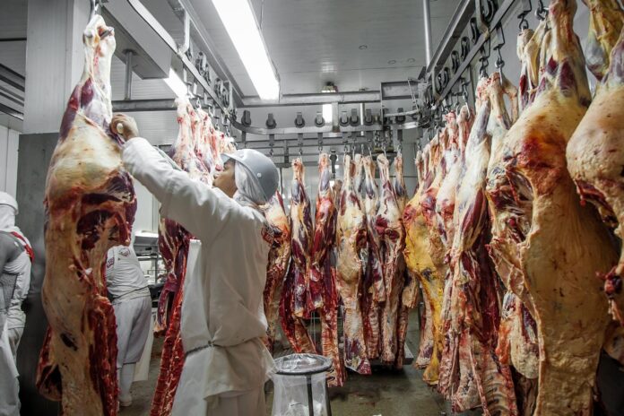 mpf-investiga-frigorificos-em-mt-por-suspeita-de-compra-de-gado-de-areas-com-desmatamento mpf-investiga-frigorificos-em-mt-por-suspeita-de-compra-de-gado-de-areas-com-desmatamento