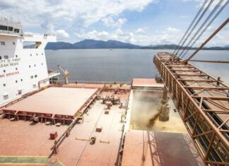 cargill-suspende-exportacoes-de-soja-do-brasil-para-a-china