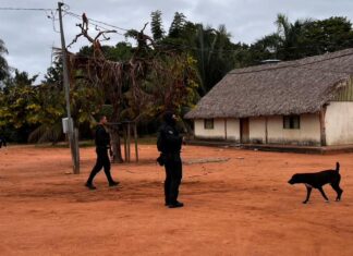 Investigação revela treinamento armado de facção em área indígena em MT investigacao-revela-treinamento-armado-de-faccao-em-area-indigena-em-mt