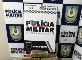 rotam-prende-dois-traficantes-e-confisca-tabletes-de-maconha-enterrados-no-quintal-de-casa