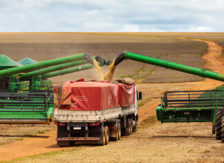 producao-agricola-em-alta-pode-impulsionar-geracao-de-bioenergia-no-brasil