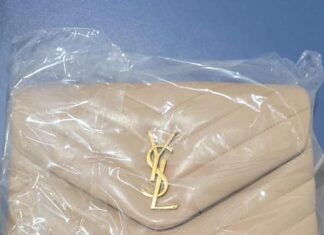 amiga-e-investigada-por-furtar-bolsas-de-luxo-avaliadas-em-ate-r$-25-mil-de-casa-em-mt