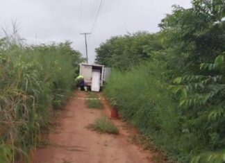 corpo-com-marcas-de-tiros-e-encontrado-as-margens-da-br-163-no-nortao