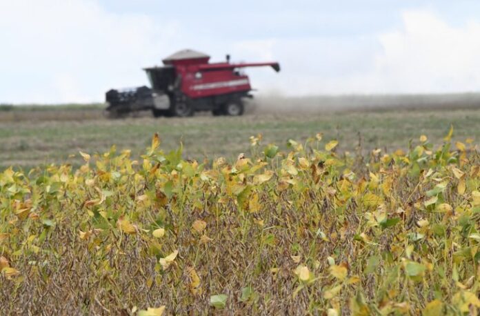 grupo-leva-calote-de-arrendatarios-e-entra-em-rj-de-r$-146-milhoes grupo-leva-calote-de-arrendatarios-e-entra-em-rj-de-r$-146-milhoes