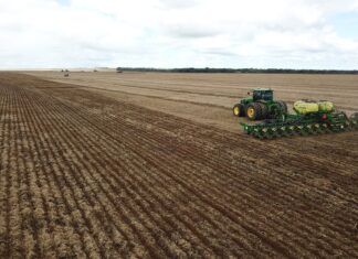 plantio-do-milho-em-mato-grosso-avanca,-mas-atraso-e-excesso-de-chuva-preocupam-produtores
