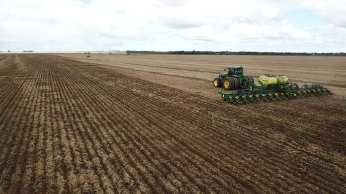 plantio-do-milho-em-mato-grosso-avanca,-mas-atraso-e-excesso-de-chuva-preocupam-produtores plantio-do-milho-em-mato-grosso-avanca,-mas-atraso-e-excesso-de-chuva-preocupam-produtores