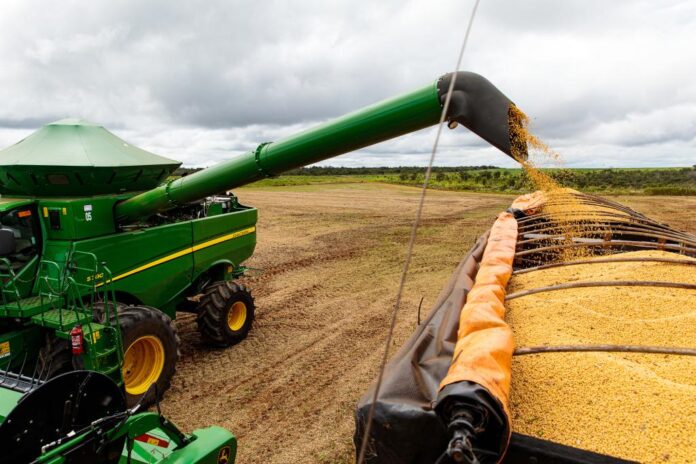 justica-aprova-rj-de-grupo-do-agro-de-alta-floresta-com-divida-de-r$-67,3-milhoes justica-aprova-rj-de-grupo-do-agro-de-alta-floresta-com-divida-de-r$-67,3-milhoes
