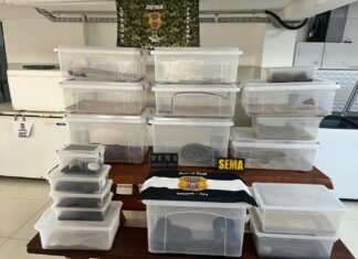 policia-civil-deflagra-operacao-contra-manutencao-irregular-de-animais-silvestres-e-exoticos