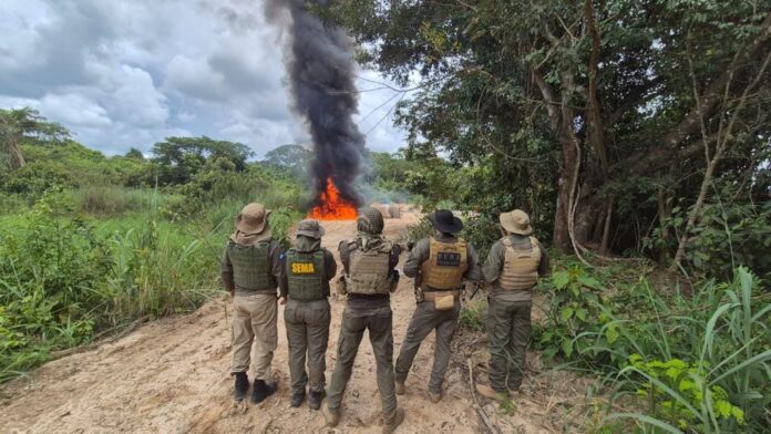 policia-civil-deflagra-operacao-logging-e-causa-prejuizo-de-r$-3,5-milhoes-ao-crime-ambiental policia-civil-deflagra-operacao-logging-e-causa-prejuizo-de-r$-3,5-milhoes-ao-crime-ambiental