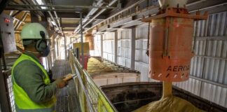 economia-de-mato-grosso-cresce-56%-e-supera-china-e-brasil-juntos-no-periodo-de-sete-anos
