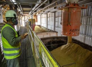 economia-de-mato-grosso-cresce-56%-e-supera-china-e-brasil-juntos-no-periodo-de-sete-anos