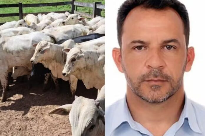 vereador-paga-fianca-e-e-liberado-apos-operacao-contra-gado-roubado-em-mt vereador-paga-fianca-e-e-liberado-apos-operacao-contra-gado-roubado-em-mt
