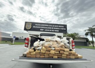 policia-apreende-quase-50-tabletes-de-cocaina-escondidos-em-area-de-mata-em-lucas-do-rio-verde