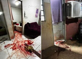 criminosos-invadem-residencia-e-atiram-em-mulher-durante-a-madrugada-em-nova-mutum