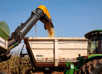 novas-regras-do-icms-devem-alterar-custos-do-agro-e-influenciar-precos-de-alimentos-em-mt