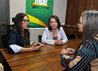 deputada-e-cro-mt-pedem-que-vice-interceda-sobre-corte-na-insalubridade-da-saude