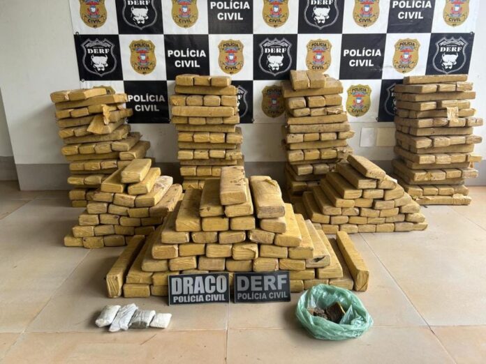 pc-encontra-305-tabletes-de-maconha-enterrados-nos-fundos-de-residencia-em-mt pc-encontra-305-tabletes-de-maconha-enterrados-nos-fundos-de-residencia-em-mt