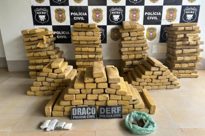 gerente-de-faccao-e-preso-com-mais-de-300-tabletes-de-maconha-enterrados-no-quintal-em-mt gerente-de-faccao-e-preso-com-mais-de-300-tabletes-de-maconha-enterrados-no-quintal-em-mt
