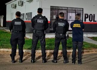 operacao-investiga-esquema-de-r$-44-milhoes-e-sonegacao-de-icms-na-venda-de-gado-entre-ro-e-mt