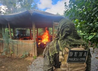 pc-prende-4-por-destruir-vegetacao-e-construir-em-area-de-preservacao-em-mt