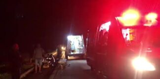 motociclista-morre-apos-colisao-com-vacas-soltas-na-mt-242-entre-sorriso-e-nova-ubirata