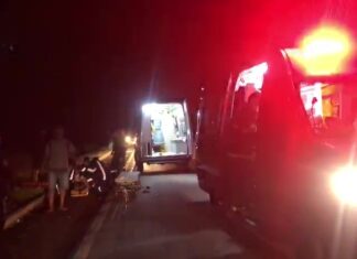 Motociclista morre após colisão com vacas soltas na MT-242 entre Sorriso e Nova Ubiratã motociclista-morre-apos-colisao-com-vacas-soltas-na-mt-242-entre-sorriso-e-nova-ubirata