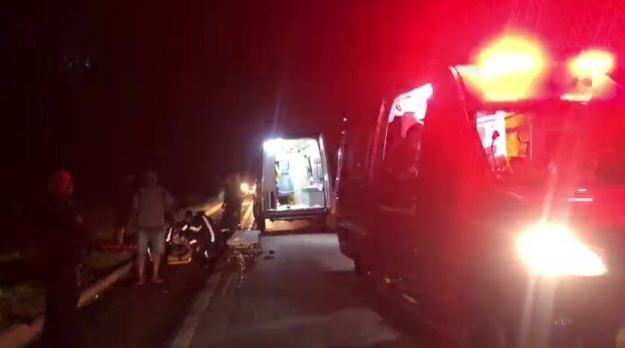 motociclista-morre-apos-colisao-com-vacas-soltas-na-mt-242-entre-sorriso-e-nova-ubirata